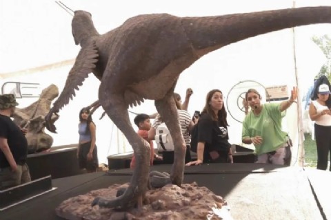 Dinosaurios: un viaje al pasado en la Feria del Libro de Neuquén