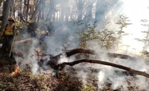 Incendio forestal bajo control en el Parque Nacional Lanín