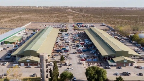 El Mercado Concentrador lanzará el Parque Agroalimentario de Neuquén