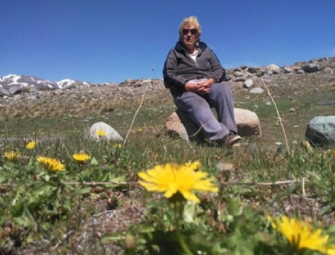 Doña Tocha: reina, enfermera y arriera con alma de cordillera