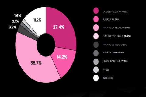 Disputa por las bancas nacionales en la provincia: Frente La Neuquidad lidera la intención de voto