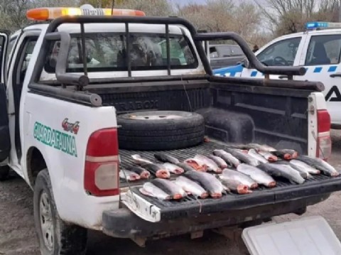 Neuquén refuerza la seguridad rural y ambiental con el control de la fauna silvestre