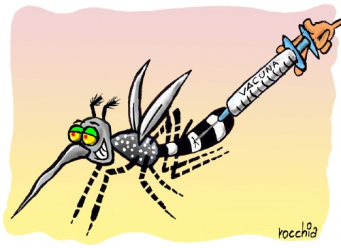 Animales ponzoñosos e insectos: cómo prevenir mordeduras o picaduras