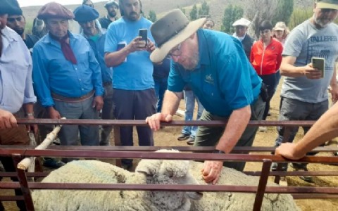 Ganadería regenerativa para mejorar la rentabilidad del campo