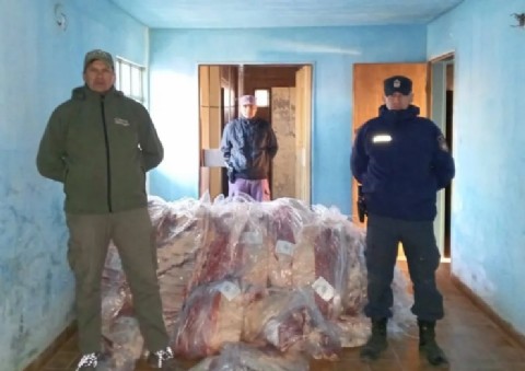 Decomisaron más de 3.200 kilos de carne ilegal valuada en 65 millones de pesos