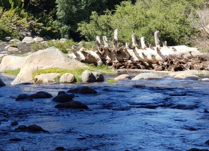 VIDEO | La Provincia prorrogó la Ley de Alerta Hídrico–Ambiental