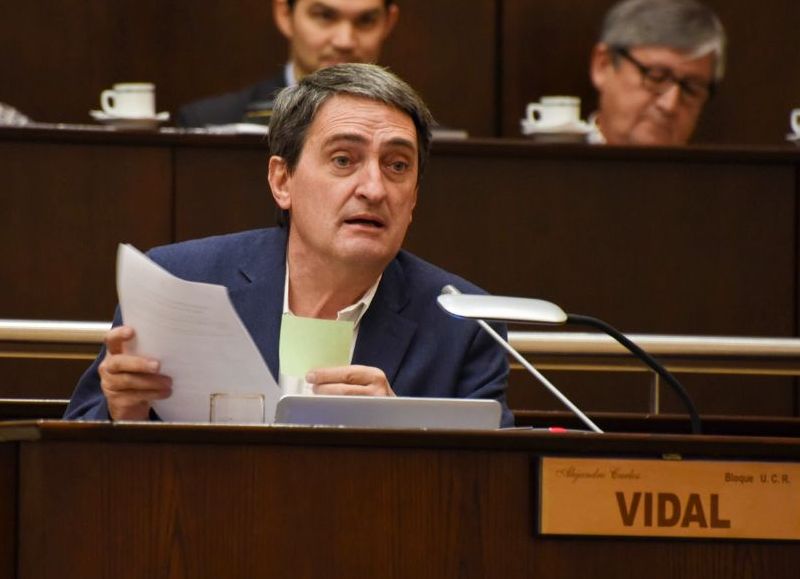 Vidal: "Parece que en la política también hay ´caranchos´ que no respetan la voluntad del ciudadano"