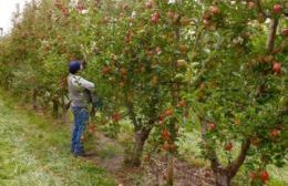 Destinan más de 916 millones a productores afectados por el granizo